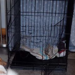 Dog cage with cover