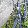 bike trek Image 5