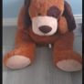Floppy dog soft toy Image 2