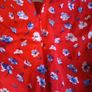 pumpkin patch red and blue dress Image 10