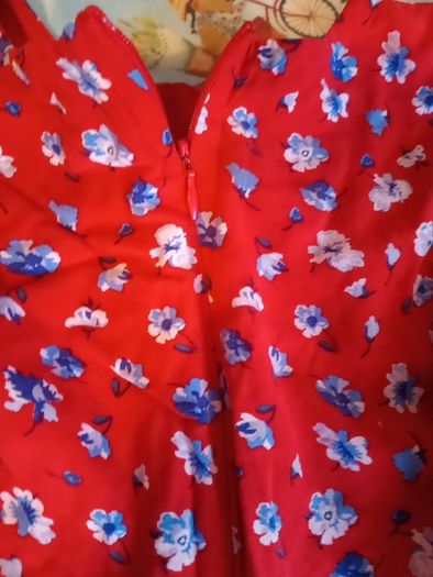 pumpkin patch red and blue dress