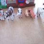 Fisher Price Farm House/Animals Image 3