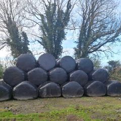 Silage Bales
