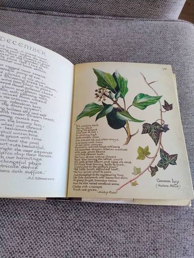 The Country Diary of an Edwardian Lady 1979 by Edith Holden in very good condition with some wear to the dustcover see photos FREE STANDARD POSTAGE INCLUDED