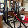 Without Doubt Best Gym Weightlifting Set Up, Power Squat Rack, Bench, Olympic Weights, Bars, Tri Dip!!! Image 7