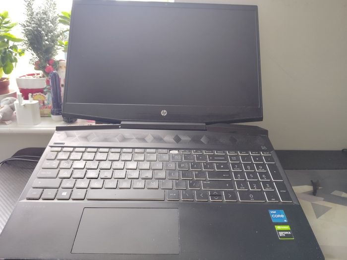 Selling HP pavilion Gaming Laptop Model 15-dk2017na
