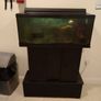 Free Fish Tank Image 2