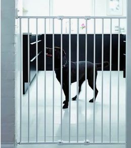 Extendable dog/baby gate