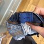 jeans size 6 boys blue elasticated waist Image 5