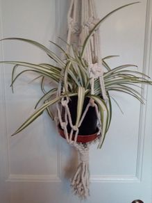 Home And Garden