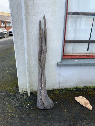 Substantial Collection of Old Bog Oak. Delivery by van can be arranged.