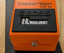 Boss Ds1 W