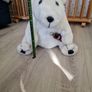 Coca-Cola Polar Bear Plush Image 6