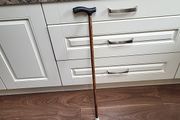 Walking stick