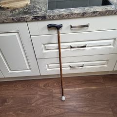 Walking stick