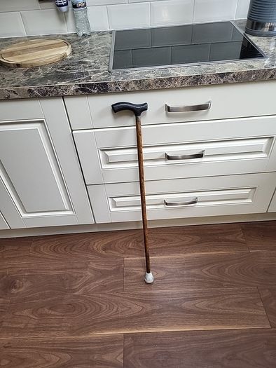 Walking stick