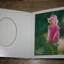Photo Album Image 7