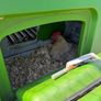 Chicken coop Omlet Eglu Cube Chicken Coop Image 6