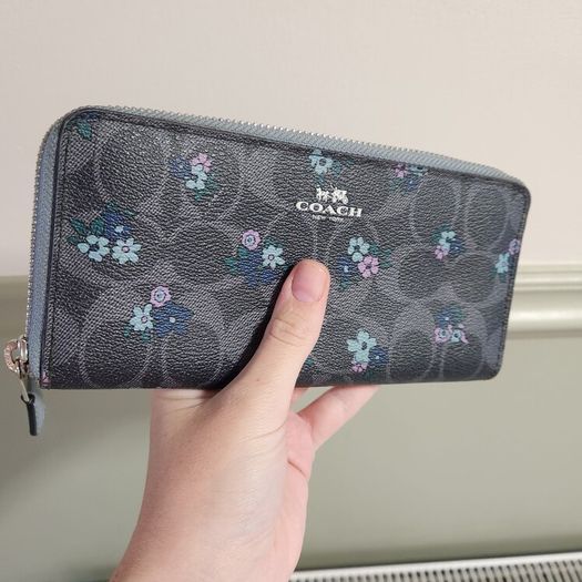 Coach purse (authentic)