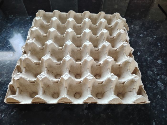 Egg Carton Tray