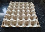 Egg Carton Tray