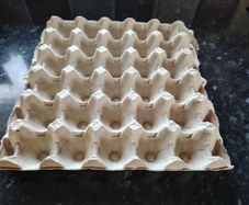 Egg Carton Tray