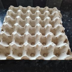 Egg Carton Tray