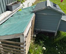 chicken / rabbit outdoor house - Free