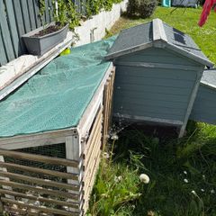 chicken / rabbit outdoor house - Free