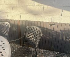 garden fence