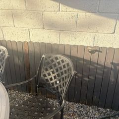 garden fence