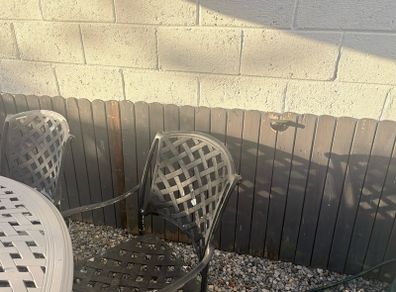 garden fence