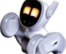 Loona Smart AI Robot Pet  Complete Bundle with Charging Dock & Accessories!