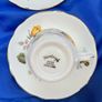 Harleigh bone china teaset Image 2