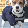 Brand New Dog Zoon Waterproof Comfort Coat Image 6