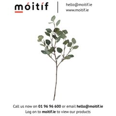 Artificial Eucalyptus
