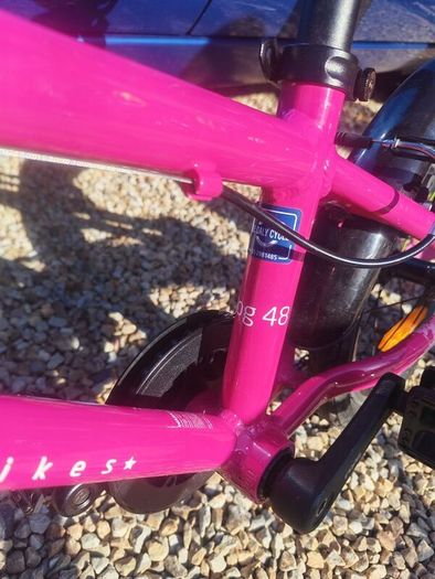 Frog bike 48