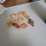 Amber baltic. Image 5