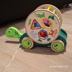 wooden tortoise, and cylinder