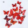 Double wing Butterflies with magnet Image 6