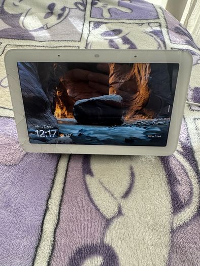 Google Nest Hub (1 And 2nd) Generation