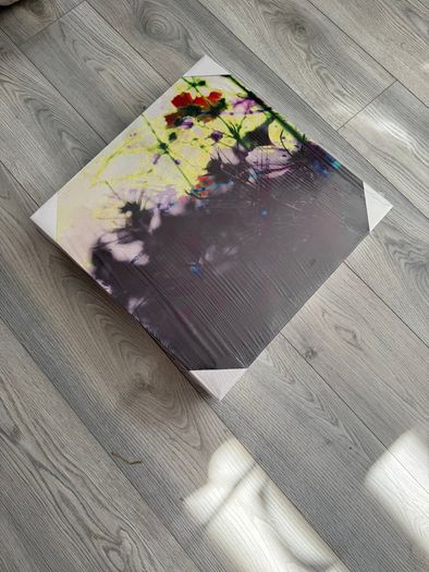 3-Piece Printed Canvas Wall Art Set