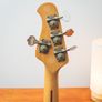 Music Man Stingray 1979-1981 - Sunburst Image 3