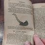 2 Antique Gardening Books Image 4