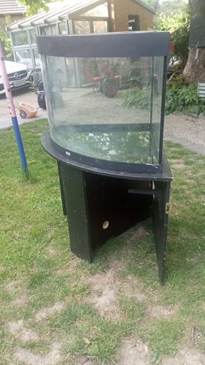 fish/ reptile tank