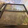 Exoterra Terrarium Image 6