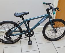 Raleigh Zero 20-Inch Children Bike