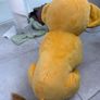 large simba Image 2