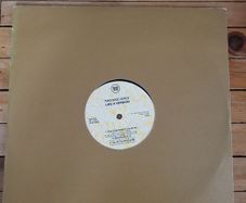 Two Nice Girls Like A Version 12 inch Rough Trade Records