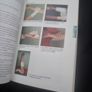Wilderness First Aid: Emergency Care for remote locations Image 10
